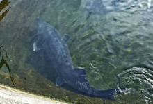 19-я Общероссийская конференция «Региональная металлоторговля России»